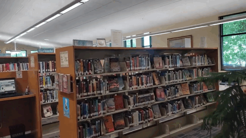 Bookshelves filled with novels and a computer station inside Eckhart Public Library in Auburn