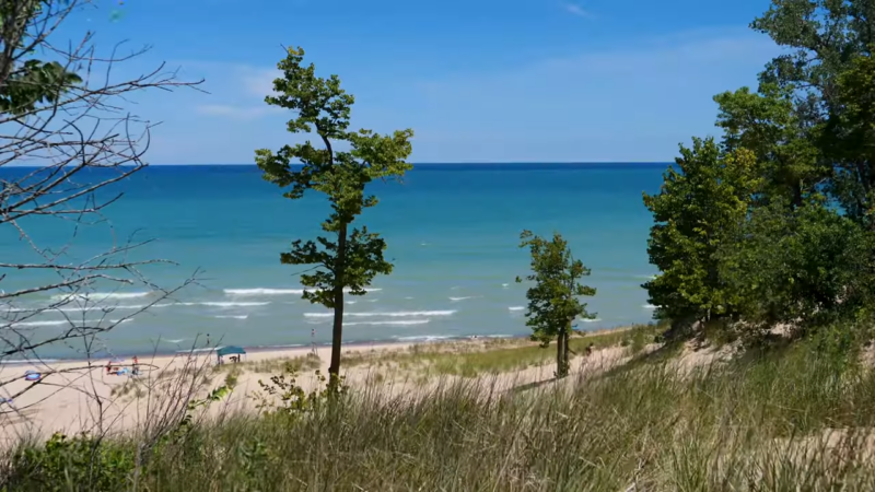 Indiana Dunes park, with windy weather